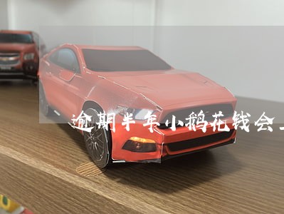 逾期半年小鹅花钱会上门吗 逾期半年小鹅花钱会上门吗
