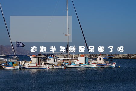 逾期半年就是呆账了吗 逾期半年就是呆账了吗