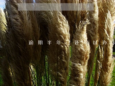 逾期半年已还可以办卡吗 逾期半年已还可以办卡吗