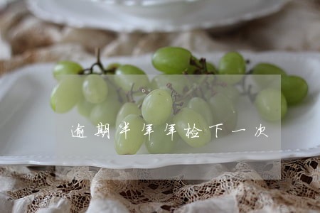 逾期半年年检下一次