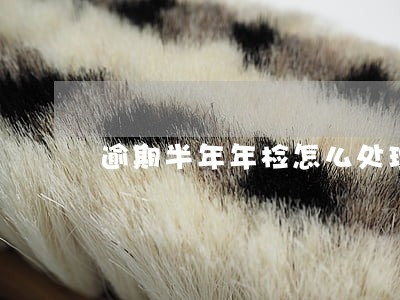 逾期半年年检怎么处理 逾期半年年检怎么处理