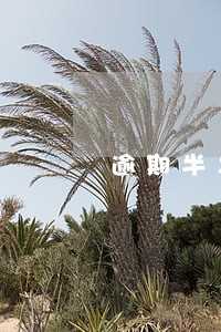 逾期半年征信可以洗白吗 逾期半年征信可以洗白吗
