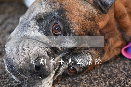 逾期半年怎么消除 逾期半年怎么消除