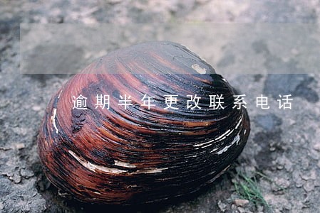 逾期半年更改联系电话 逾期半年更改联系电话