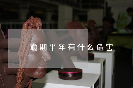 逾期半年有什么危害 逾期半年有什么危害