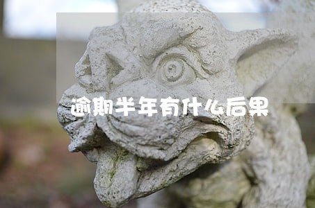 逾期半年有什么后果 逾期半年有什么后果