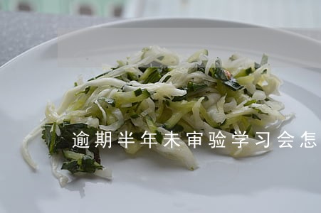 逾期半年未审验学习会怎么样 逾期半年未审验学习会怎么样