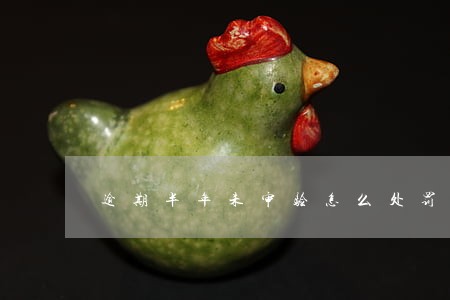 逾期半年未审验怎么处罚 逾期半年未审验怎么处罚