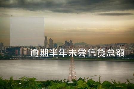 逾期半年未尝信贷总额 逾期半年未尝信贷总额