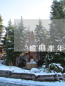 逾期半年未换证扣12分