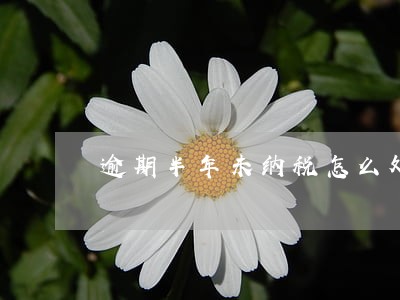 逾期半年未纳税怎么处罚 逾期半年未纳税怎么处罚