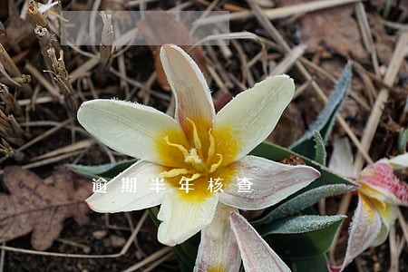 逾期半年核查 逾期半年核查