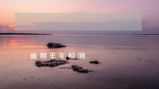 逾期半年检测 逾期半年检测