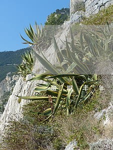逾期半年每月都有还 逾期半年每月都有还