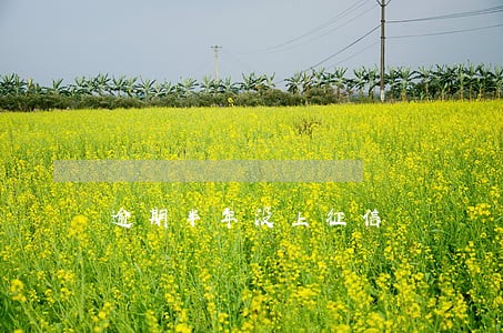 逾期半年没上征信 逾期半年没上征信