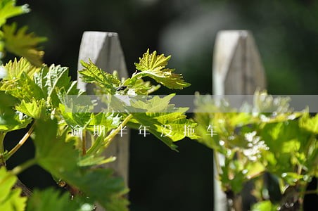 逾期半年没拖车 逾期半年没拖车