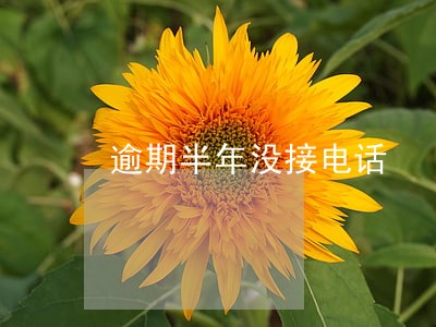 逾期半年没接电话 逾期半年没接电话