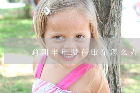 逾期半年没有审车怎么办 逾期半年没有审车怎么办