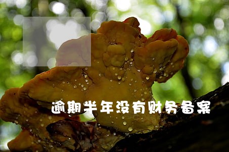 逾期半年没有财务备案