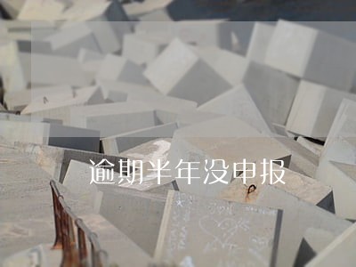 逾期半年没申报 逾期半年没申报