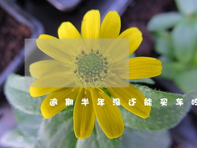 逾期半年没还能买车吗 逾期半年没还能买车吗