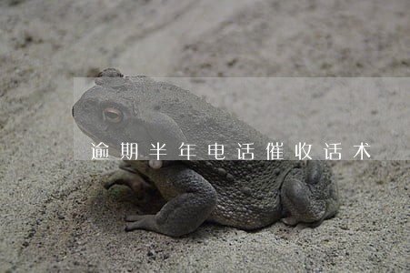 逾期半年电话催收话术 逾期半年电话催收话术