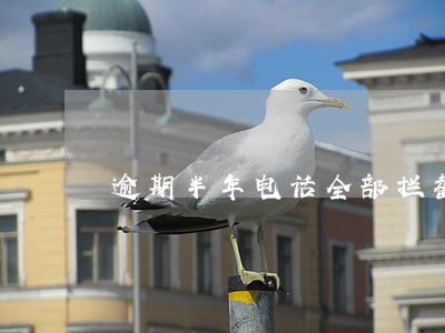 逾期半年电话全部拦截 逾期半年电话全部拦截