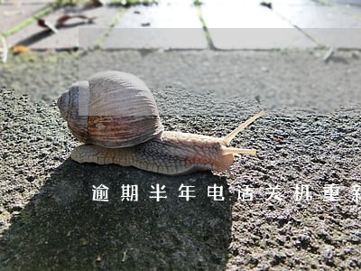 逾期半年电话关机重新开始 逾期半年电话关机重新开始