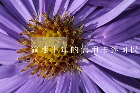 逾期半年的信用卡还可以激活吗 逾期半年的信用卡还可以激活吗
