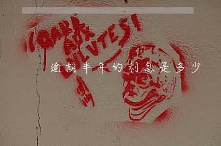 逾期半年的利息是多少 逾期半年的利息是多少