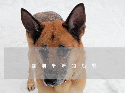 逾期半年的后果 逾期半年的后果