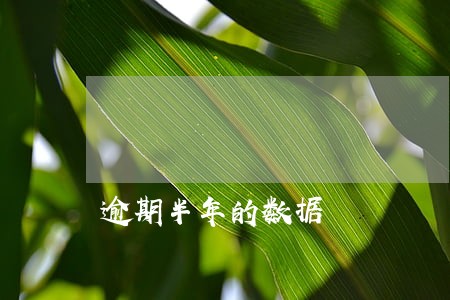 逾期半年的数据 逾期半年的数据