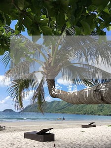 逾期半年的网贷怎么催 逾期半年的网贷怎么催