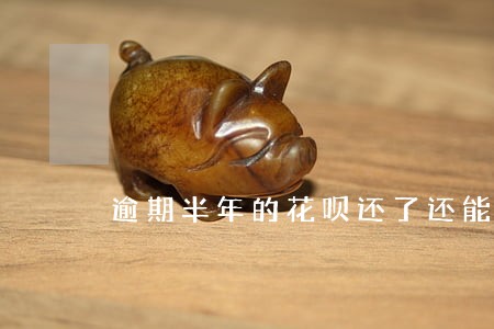 逾期半年的花呗还了还能用吗 逾期半年的花呗还了还能用吗