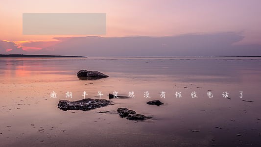 逾期半年突然没有催收电话了 逾期半年突然没有催收电话了
