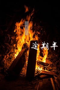 逾期半年立案处理 逾期半年立案处理