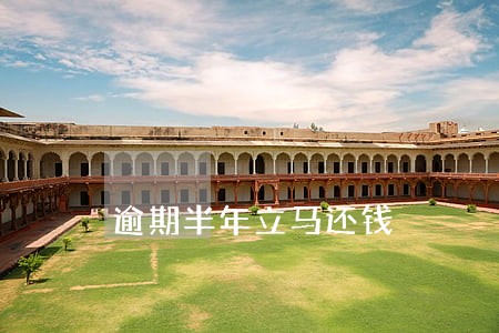逾期半年立马还钱