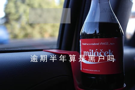 逾期半年算是黑户吗 逾期半年算是黑户吗