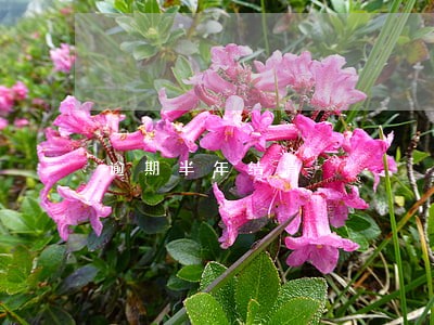逾期半年结清 逾期半年结清