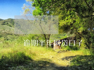 逾期半年网贷口子 逾期半年网贷口子