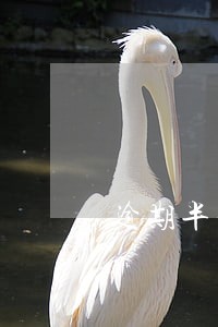 逾期半年能做房贷么 逾期半年能做房贷么