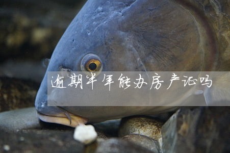 逾期半年能办房产证吗 逾期半年能办房产证吗