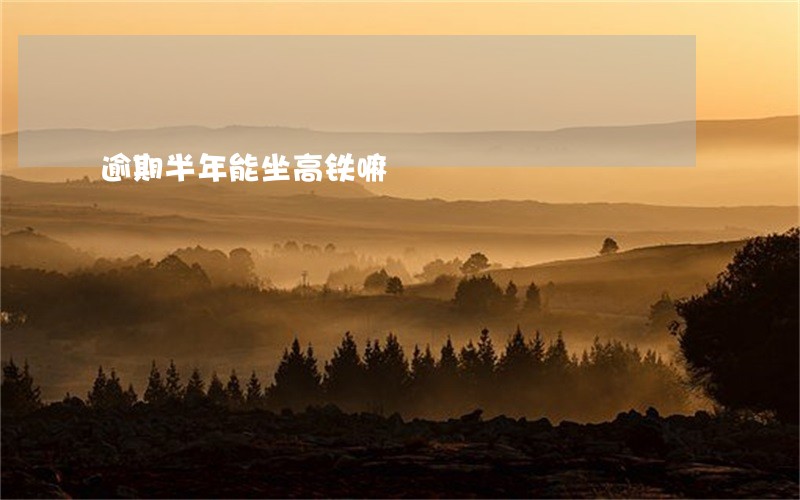 逾期半年能坐高铁嘛