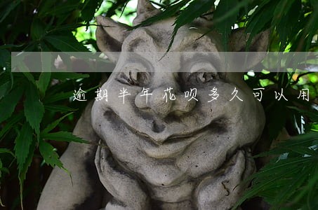 逾期半年花呗多久可以用 逾期半年花呗多久可以用