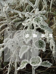 逾期半年要上门核实情况 逾期半年要上门核实情况