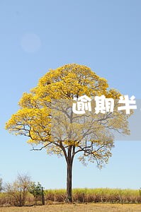 逾期半年说上门 逾期半年说上门