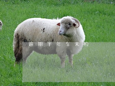 逾期半年车未检 逾期半年车未检