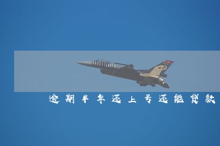 逾期半年还上号还能贷款吗 逾期半年还上号还能贷款吗