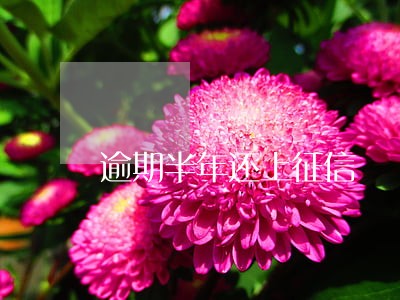 逾期半年还上征信 逾期半年还上征信