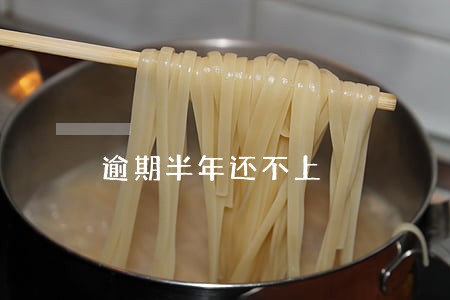 逾期半年还不上 逾期半年还不上